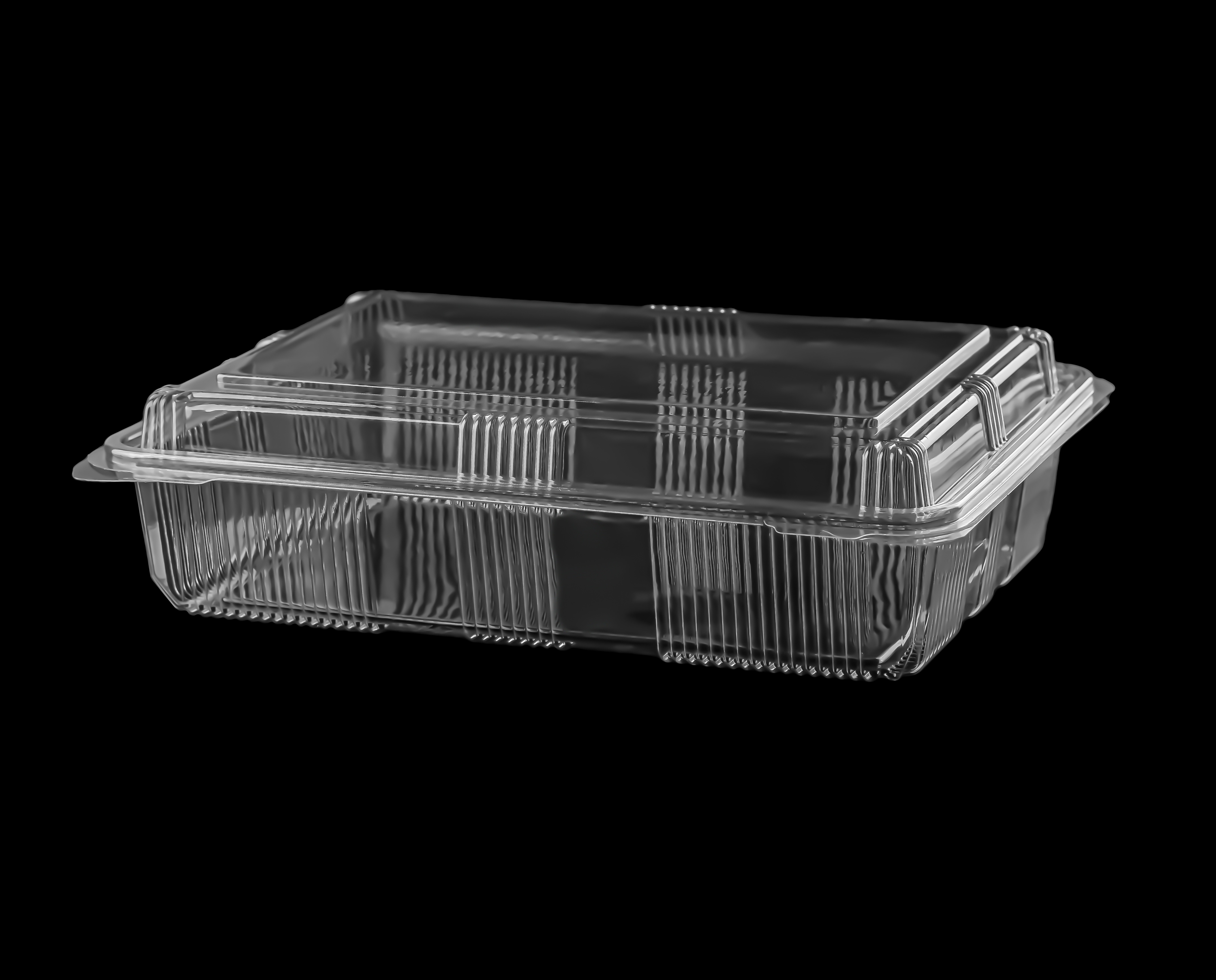 570 Large Hinged Lid Container 