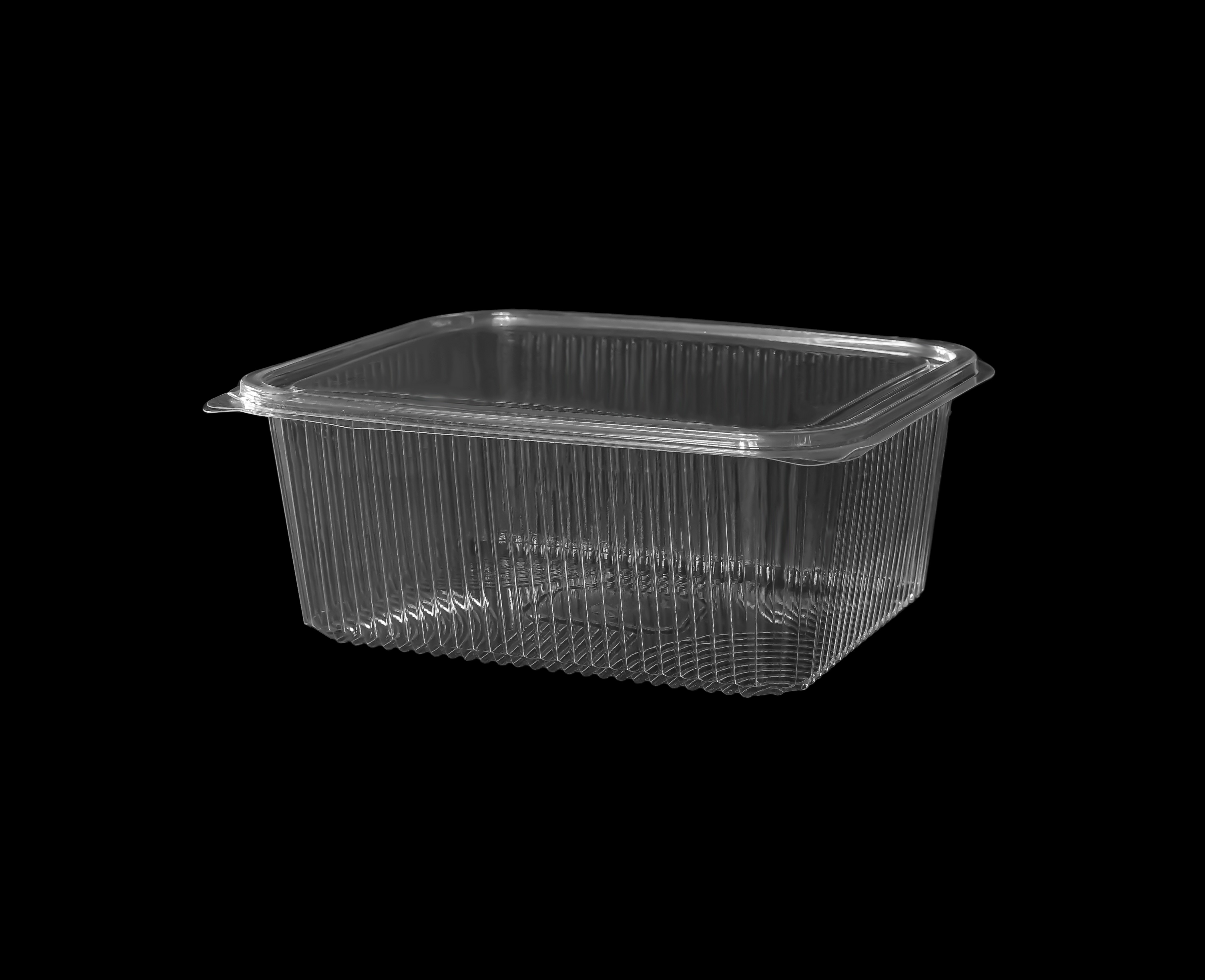 500
Hinged Lid Container 