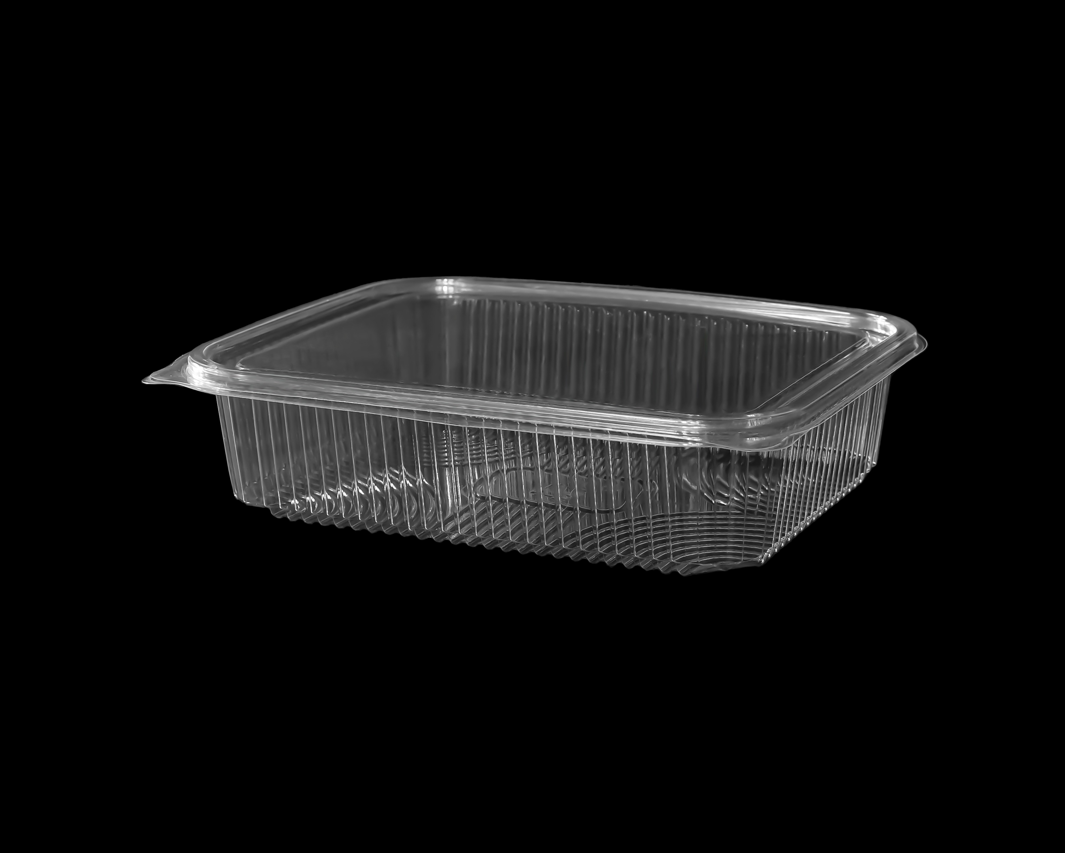 502 Hinged Lid Container 