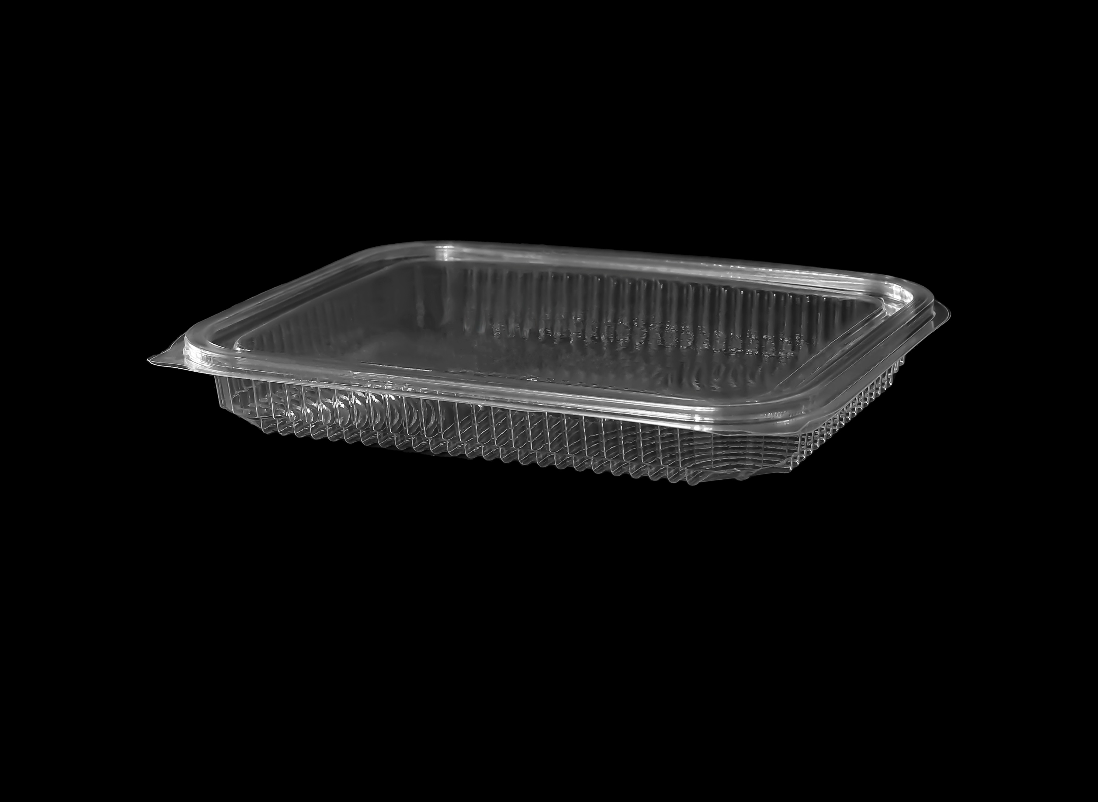 504 Hinged Lid Container