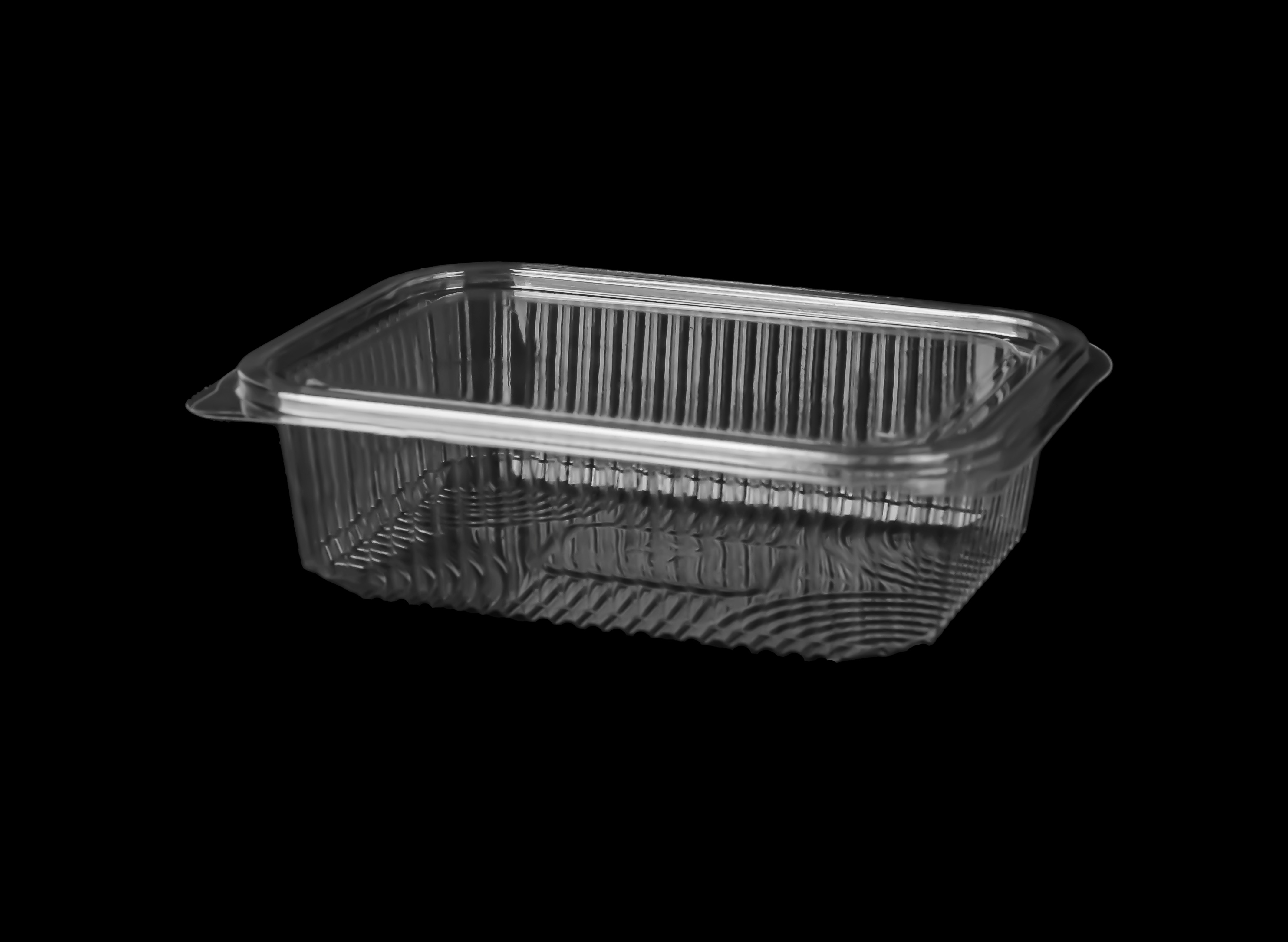 531 Medium Hinged Lid Container  