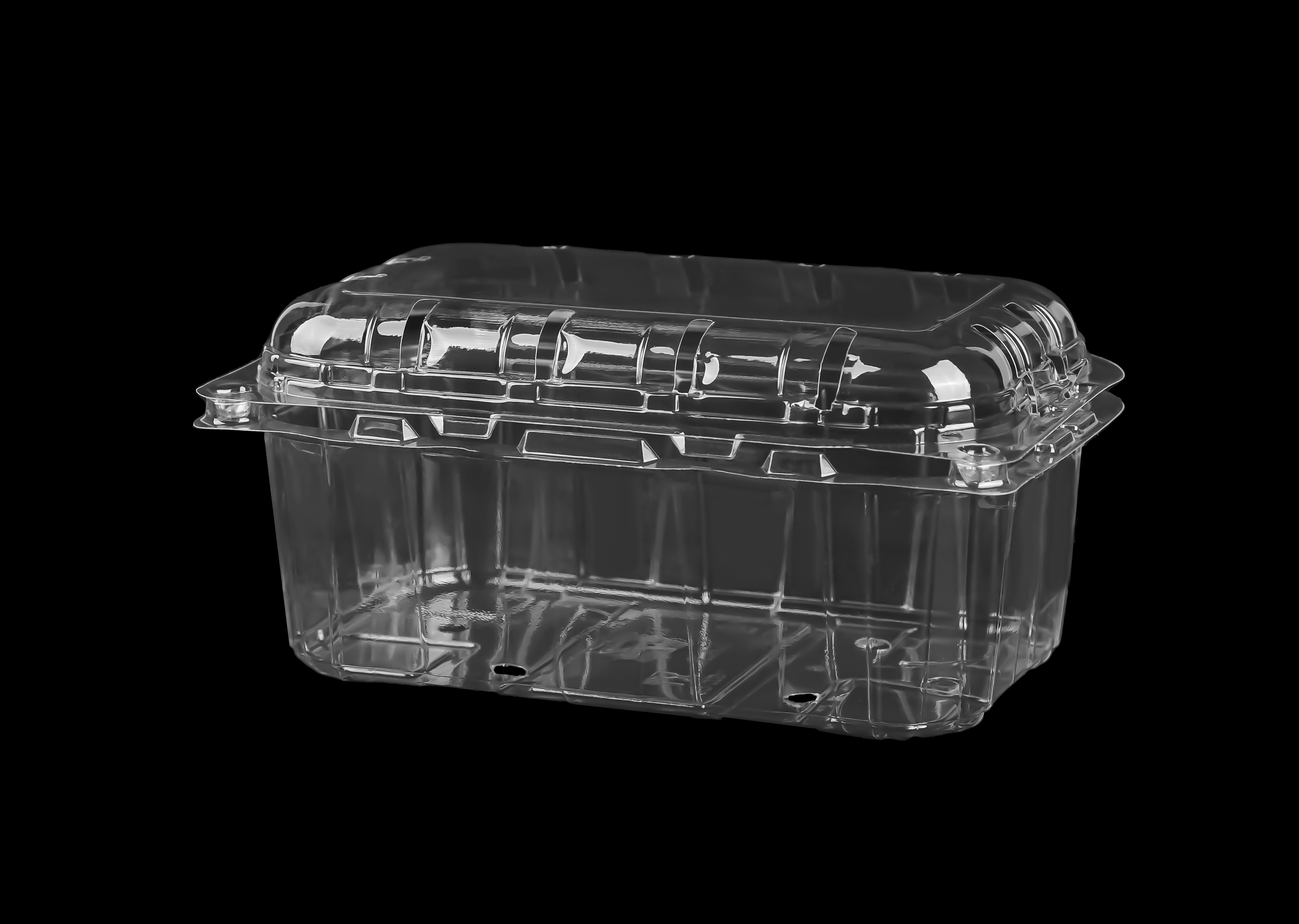 802 Fruit Hinged Lid Punched Container 