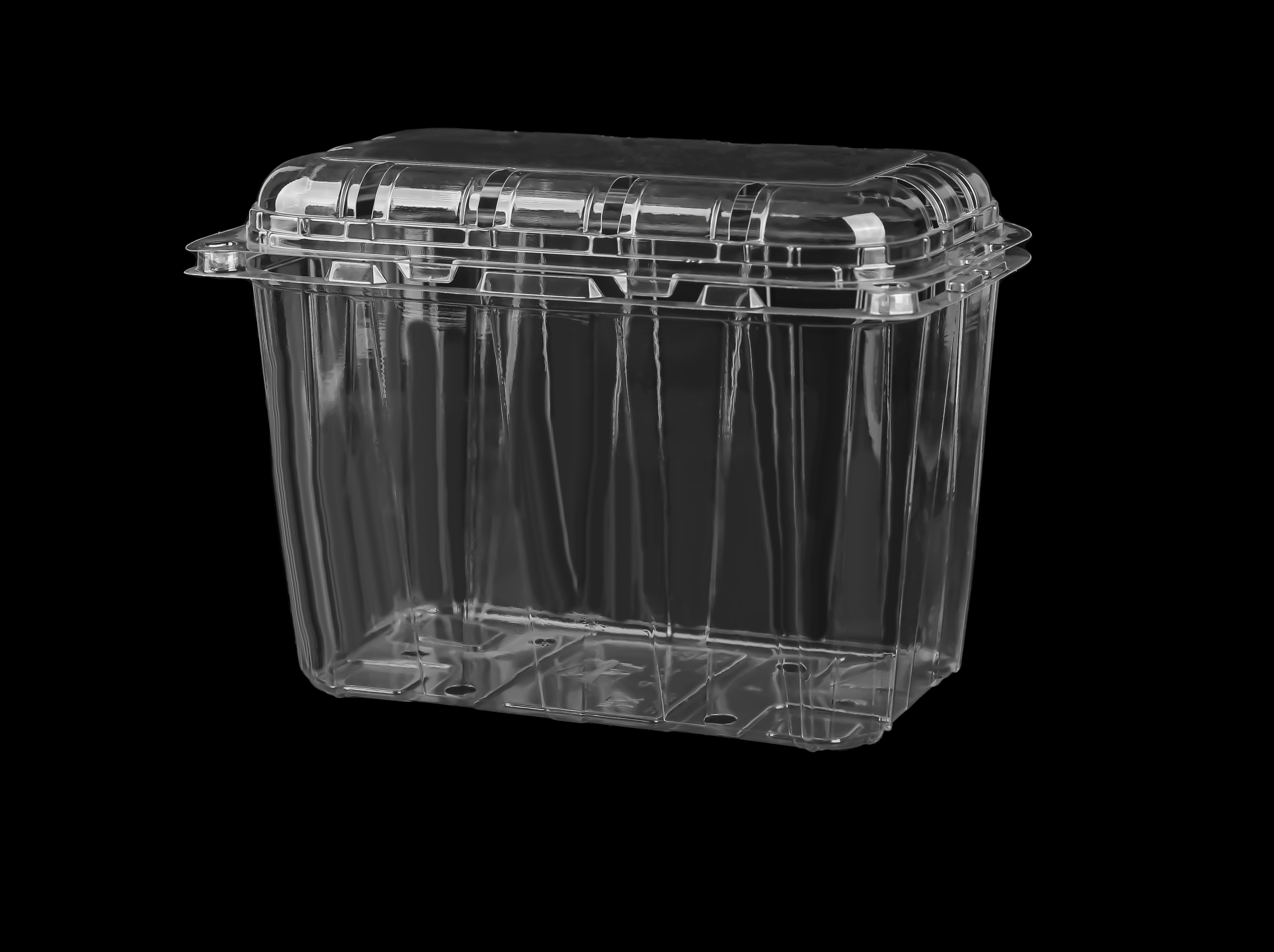 800 Fruit Hinged Lid Punched Container 