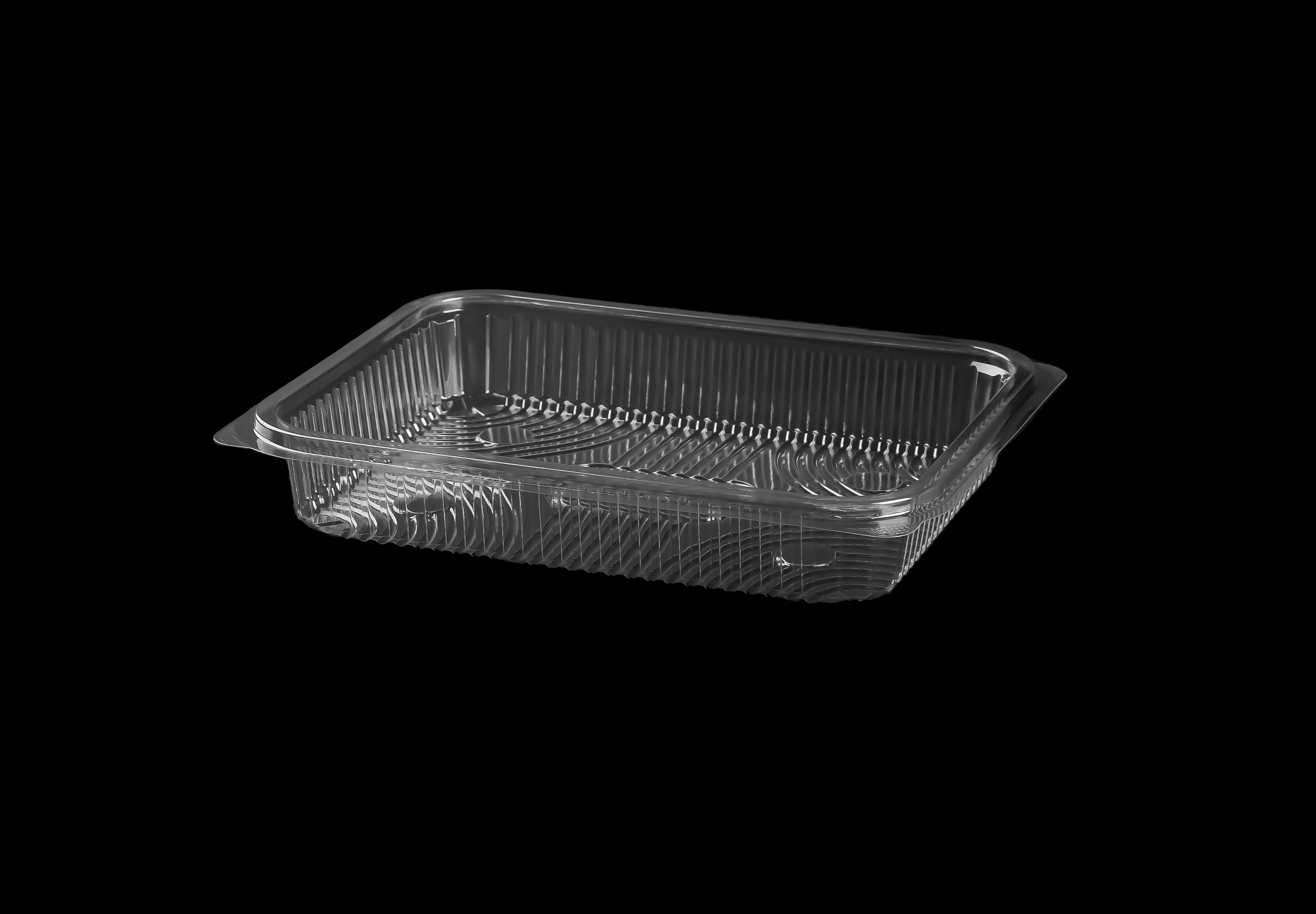 503 Large Rectangular Container Only