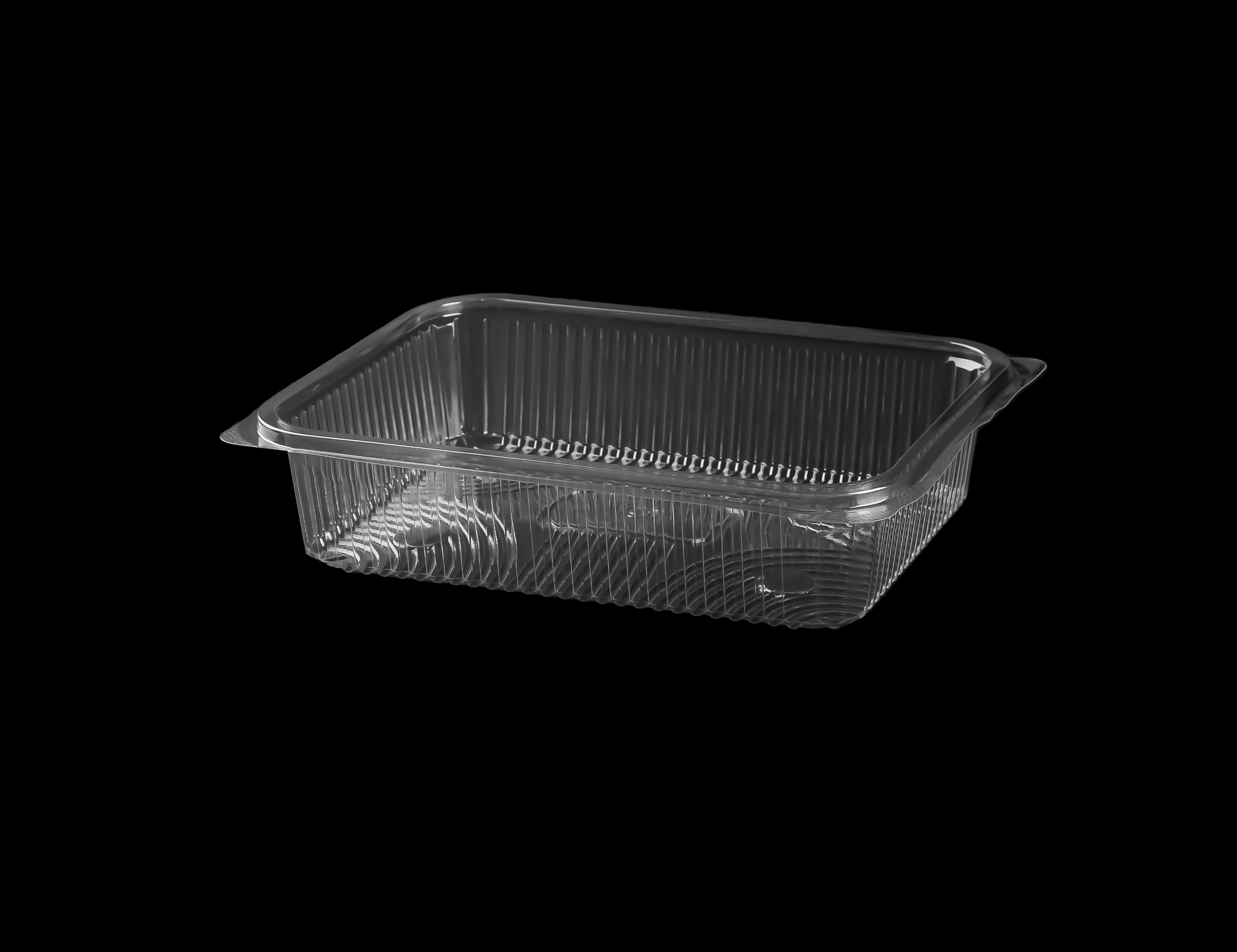 502 Large Rectangular Container Only