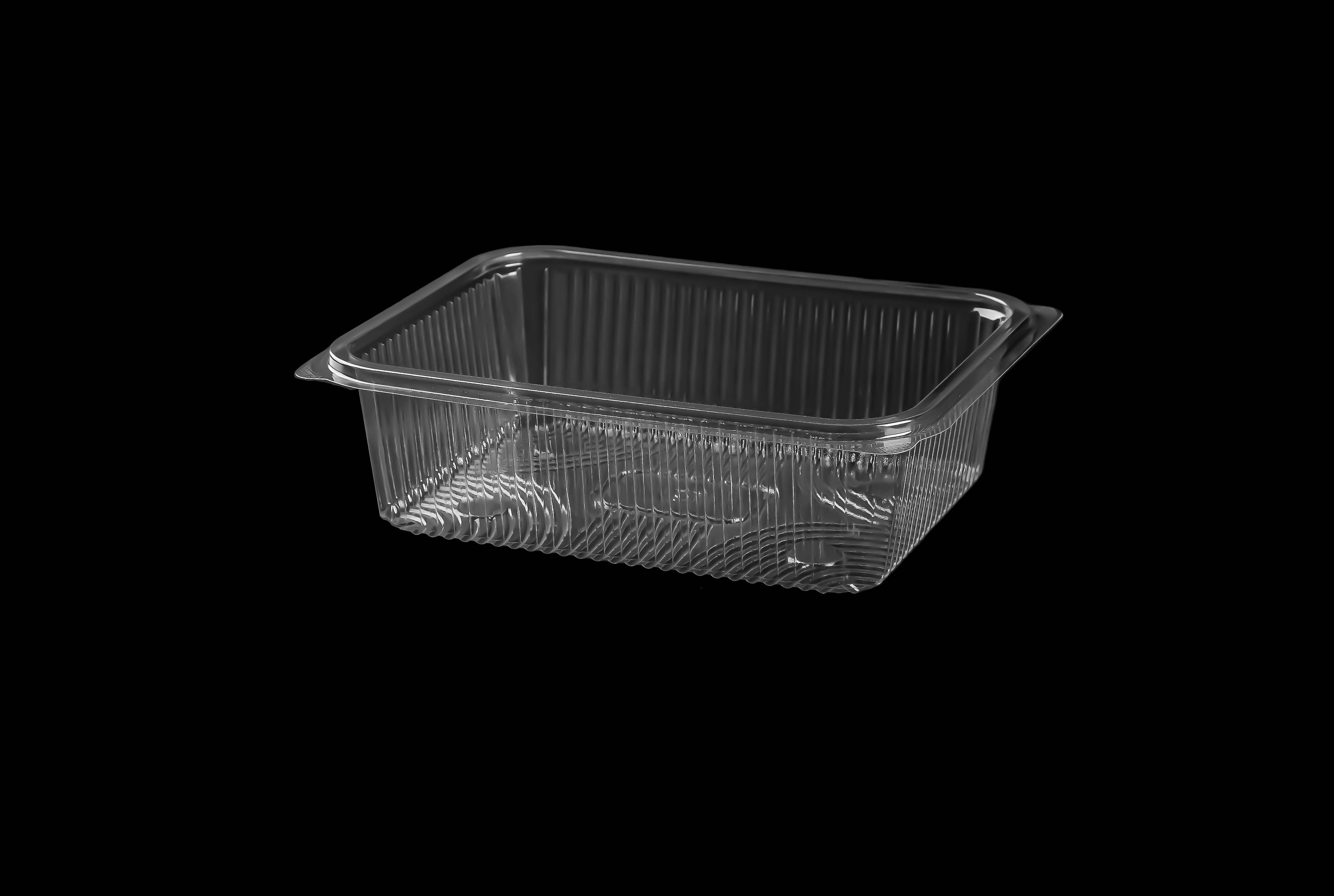501 Large Rectangular Container Only 