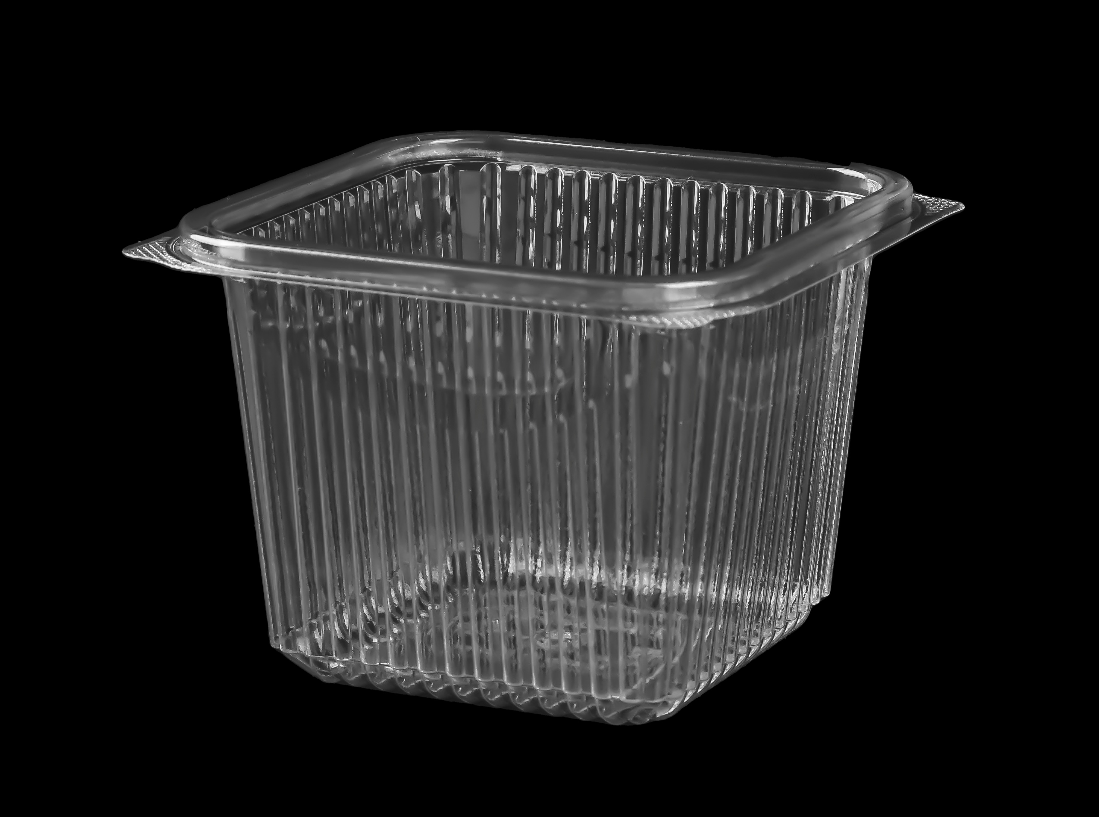 650 Small Square Container Only