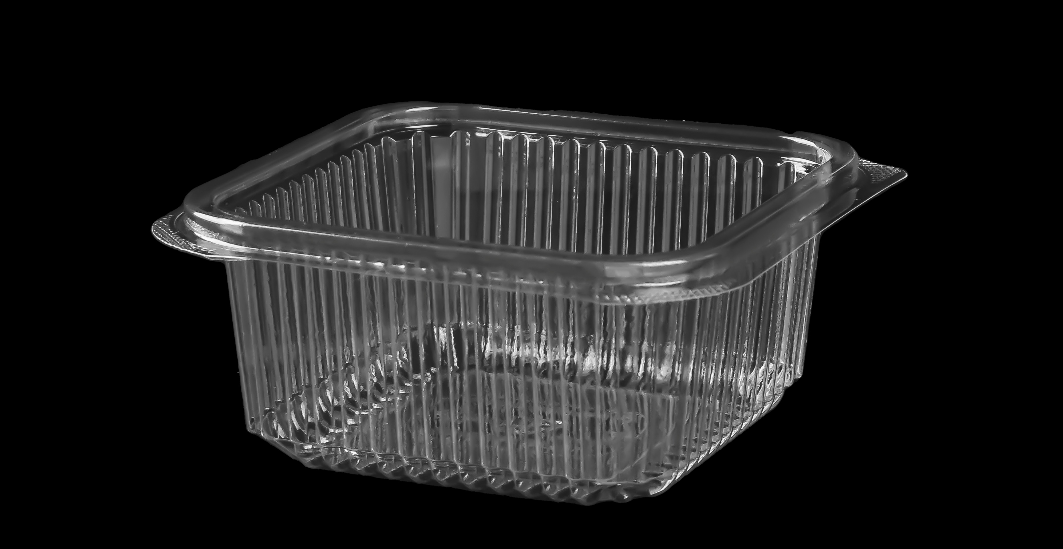 648 Small Square Container Only 